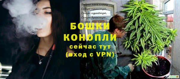 прущие грибы Аркадак