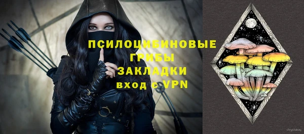 стафф Сосновоборск