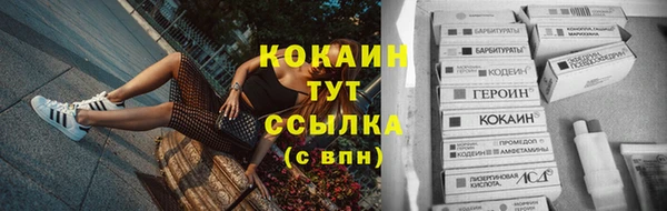 прущие грибы Аркадак