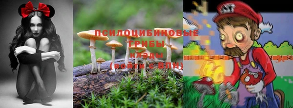 прущая мука Арсеньев