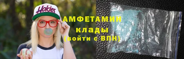 прущие грибы Аркадак