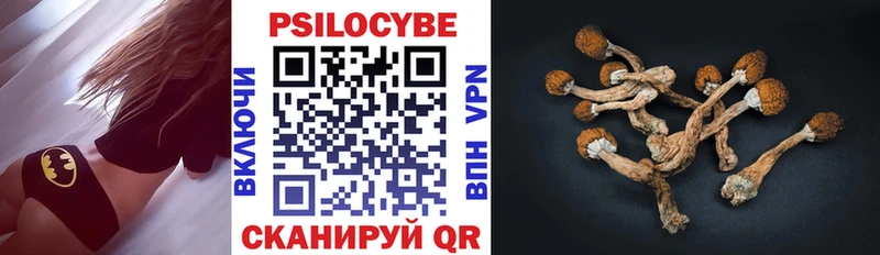 Псилоцибиновые грибы Psilocybine cubensis  Кукмор 
